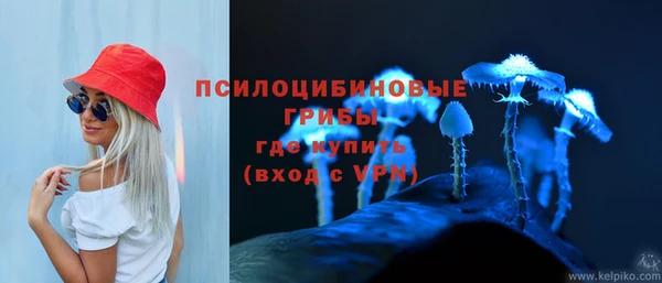 хмурый Надым