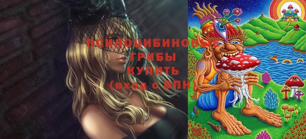 хмурый Надым