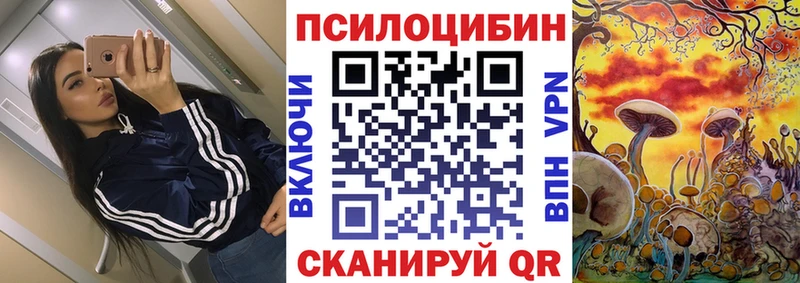 Псилоцибиновые грибы Psilocybine cubensis  Купить  Алексеевка 